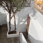 Oliveira Brava * פרה
