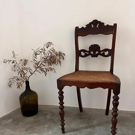Oliveira Brava * פרה